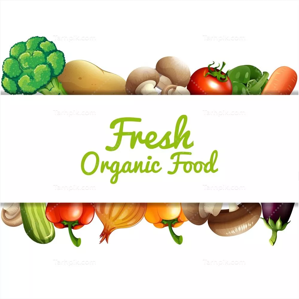 وکتور تصویری شامل انواع مختلف سبزیجات و ویژگی های آن ها