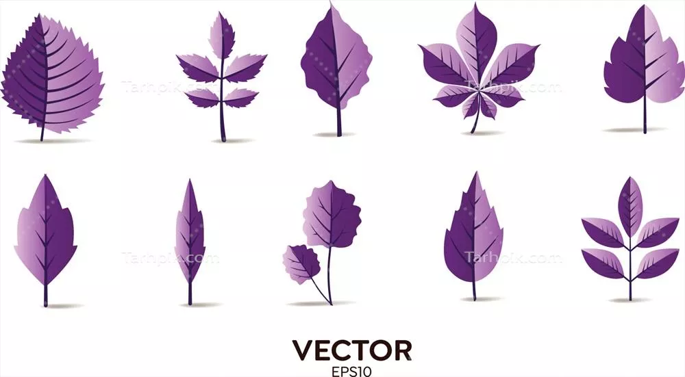 مجموعه عناصر طراحی وکتور با تم جنگل بنفش و خلاقیت‌های شگفت‌انگیز