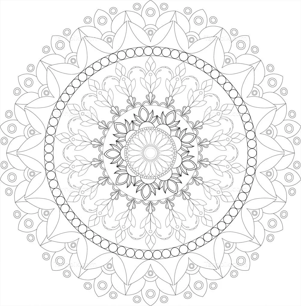 الگوهای هندسی و گل‌دار برای طراحی رنگ آمیزی با استفاده از وکتور