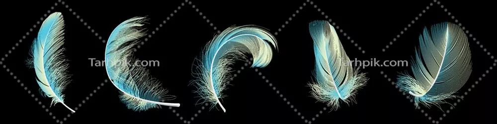 مجموعه وکتور پرها با طراحی منحصر به فرد و زیبا