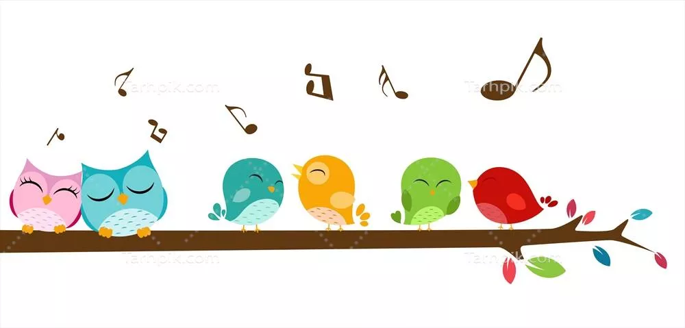 تصویر وکتور پرندگان خواننده بر روی شاخه درخت