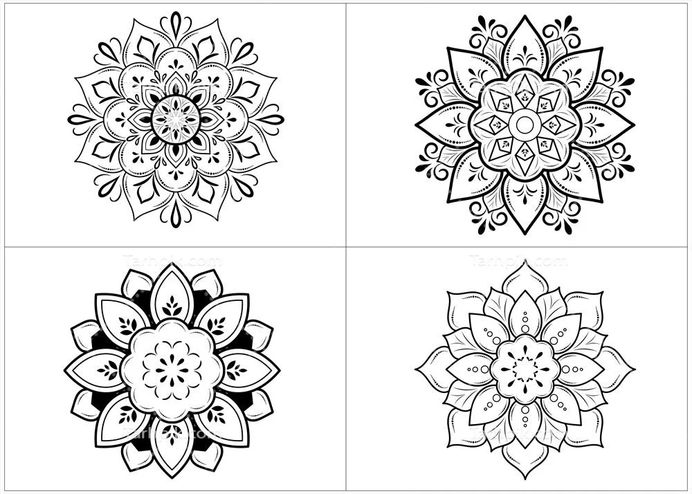 مجموعه وکتور ماندالاهای تک رنگ با مفهوم طبیعی و گلدار