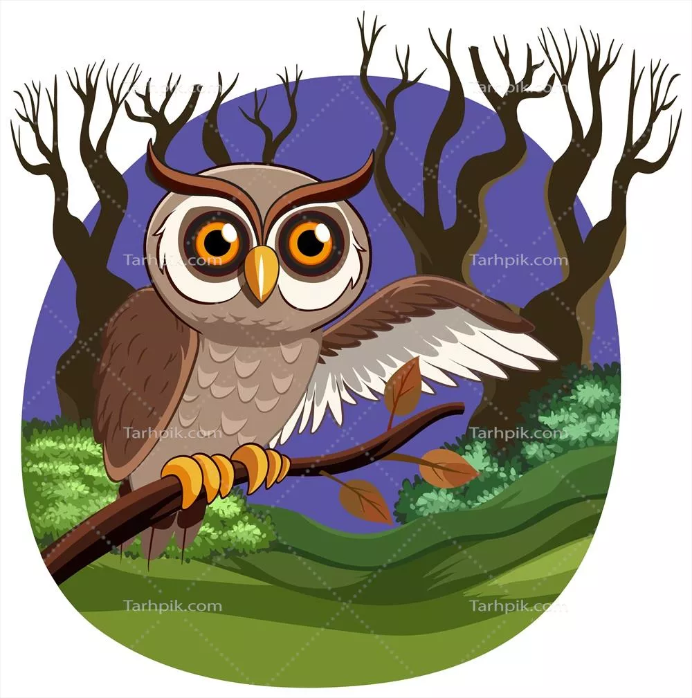 طرح وکتور جغد در شب با جزئیات زیبا و خاص