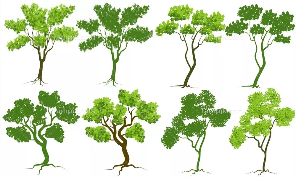 مجموعه درختان وکتوری مجزا بر روی پس‌زمینه سفید