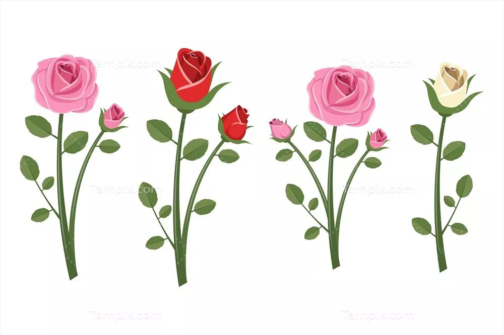 وکتور گل های قدیمی زیبا با طراحی کلاسیک در پس زمینه سفید