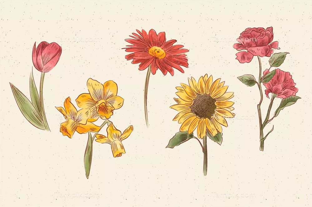 مجموعه وکتور گلهای گیاهشناسی عتیقه و کلاسیک با طراحی زیبا