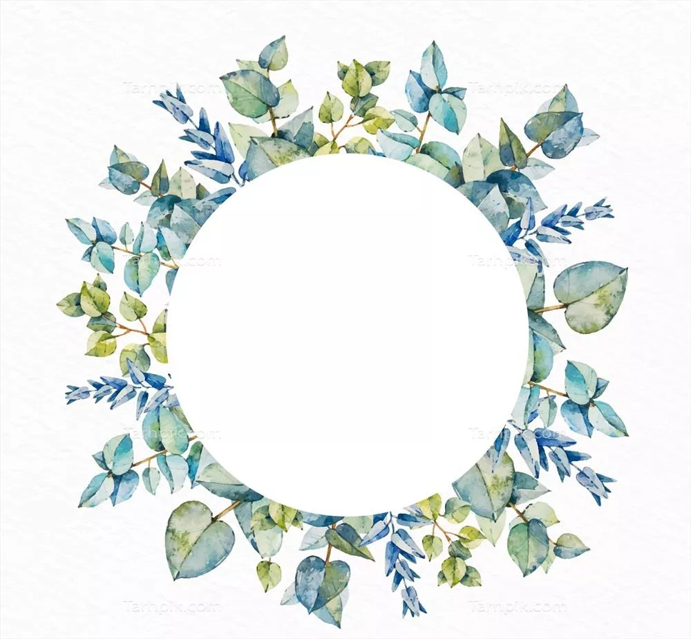 وکتور بنر آبرنگی اکالیپتوس با بنر خالی - طراحی زیبا و مدرن