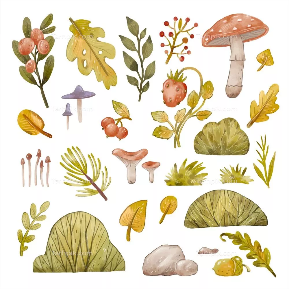 تصویرسازی آبرنگ از حیوانات جنگلی با طراحی وکتور