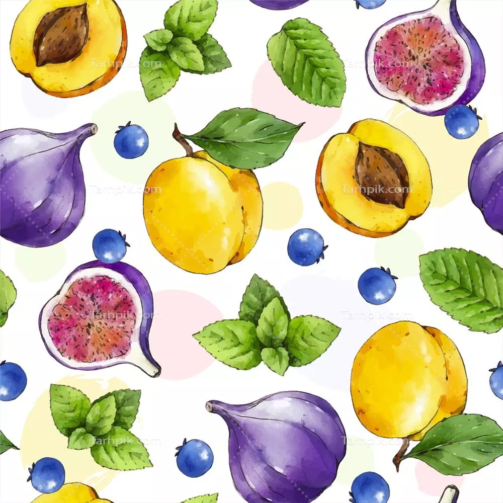 وکتور تصویرسازی آبرنگی میوه و گل با کیفیت و دقت بالا