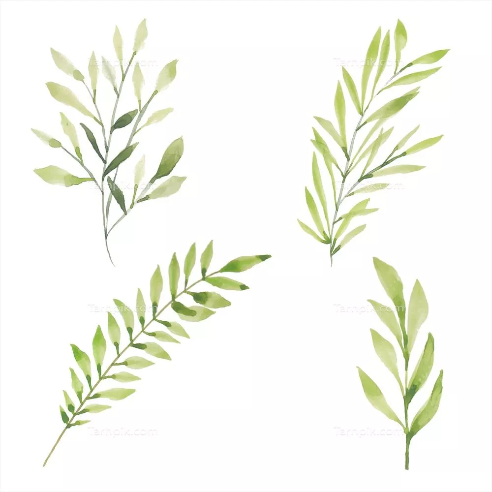 وکتور مجموعه عناصر برگ های آبی و سبز آبرنگی دست نقاشی شده