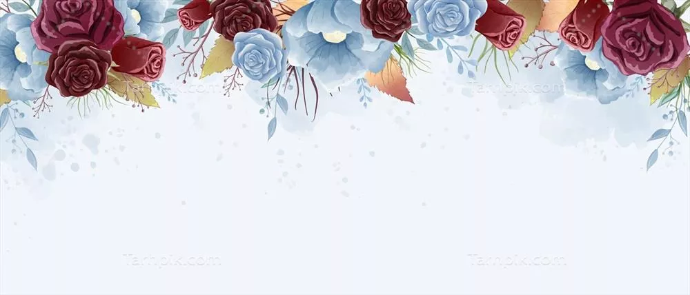 وکتور نقاشی گلهای گلسرخ و برگهای وحشی با تم رنگی بوردو و آبی کمرنگ برای پسزمینه و پوستر