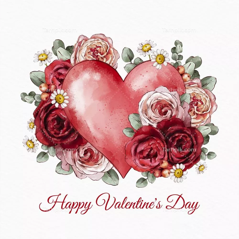 تصویرسازی گل های روز ولنتاین با تکنیک آبرنگ به صورت وکتور