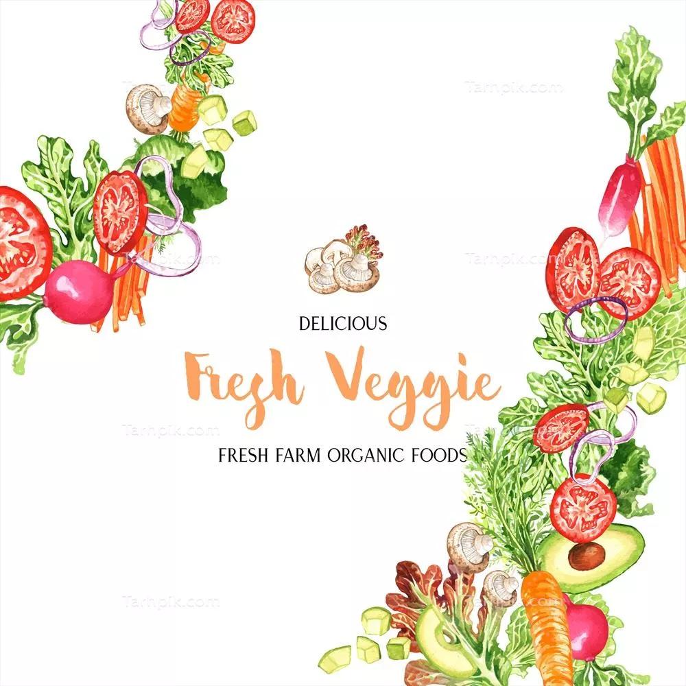 طراحی قاب سبزیجات آبرنگی برای استفاده در پروژه های وکتور