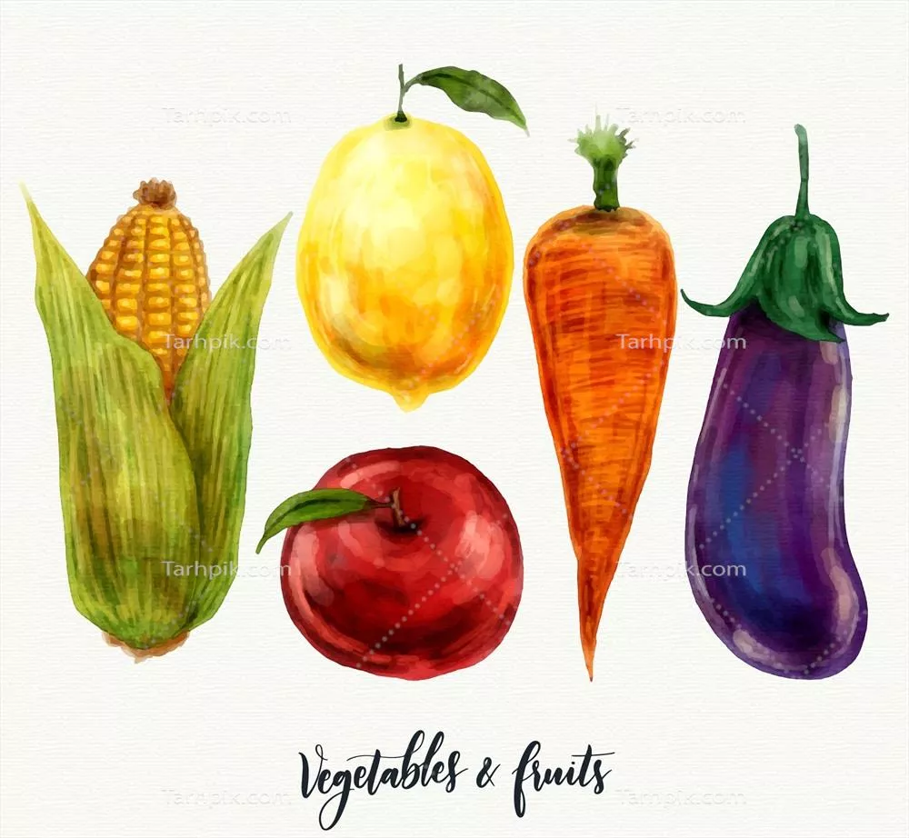 پسزمینه وکتور میوهها و سبزیجات به سبک آبرنگی زیبا و جذاب