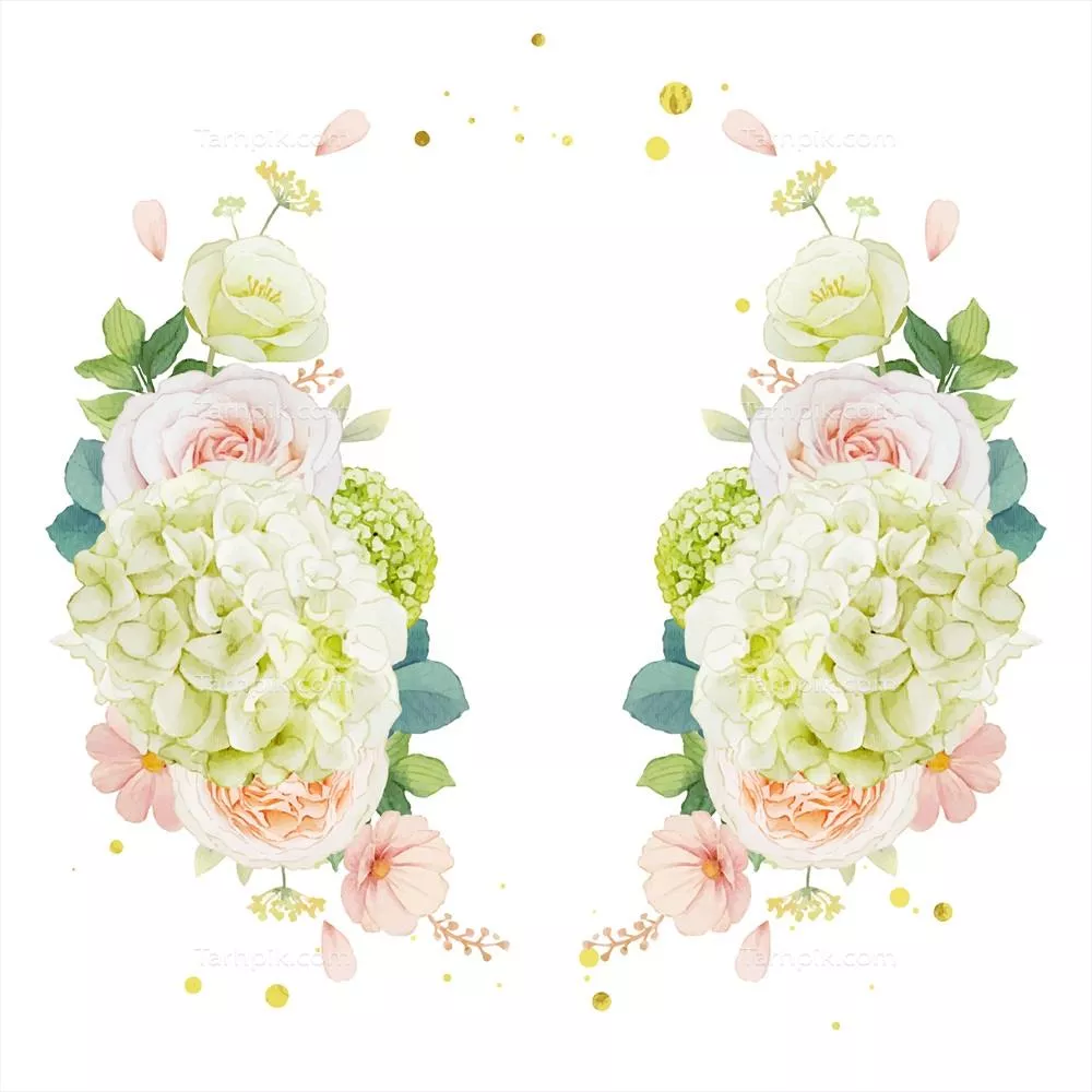 وکتور طرح گلآرایی آبرنگی شامل گلابیهای هلو و هیدرانگه برای دکوراسیون