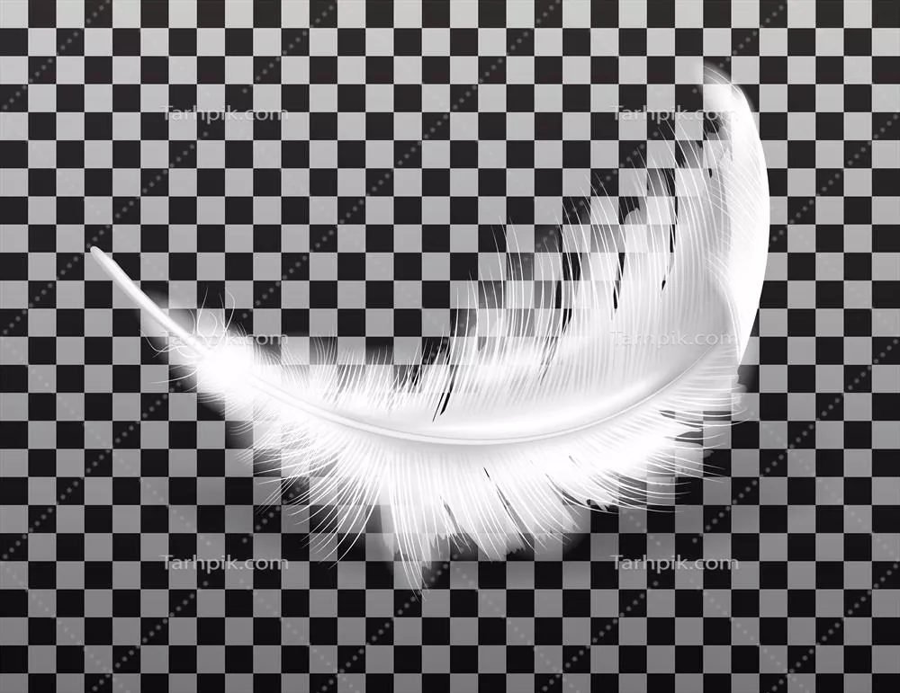 پر سفیدی پف دار با سایه - وکتور واقعی زیبا و جذاب