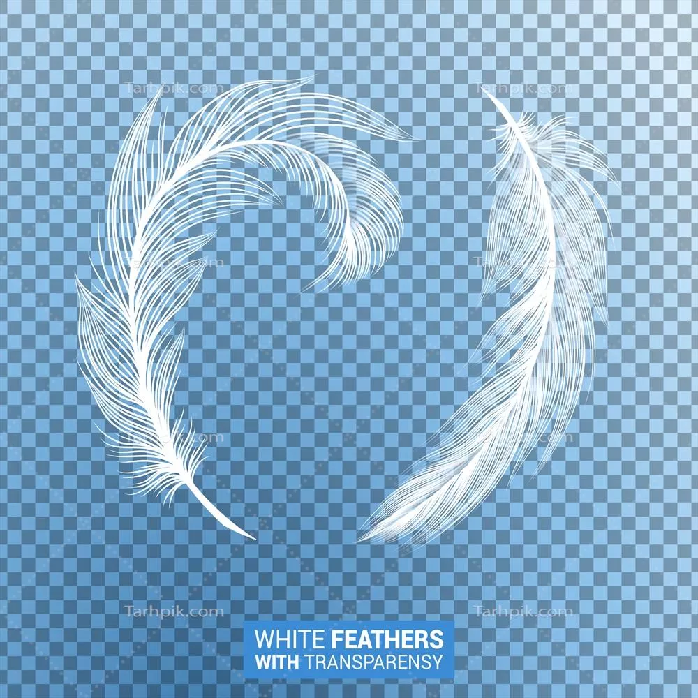 طرح وکتور از پرهای سفید و کرکی با اثر شفاف و واقعی