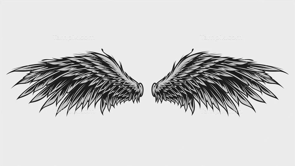 وکتور طرح دست‌ساز و ایزوله بال‌ها به سبک تتو برای نشان دادن زیبایی و هنر
