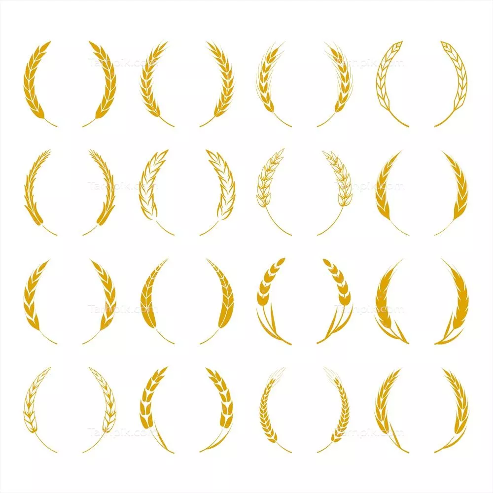 وکتور طراحی لوگو عناصر جوانه‌های گندم و نشانه‌های برنج برای محصولات ارگانیک