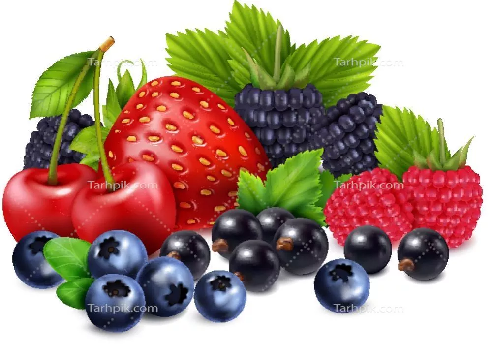 ترکیب واقع‌گرایانه میوه‌های توت در قالب وکتور