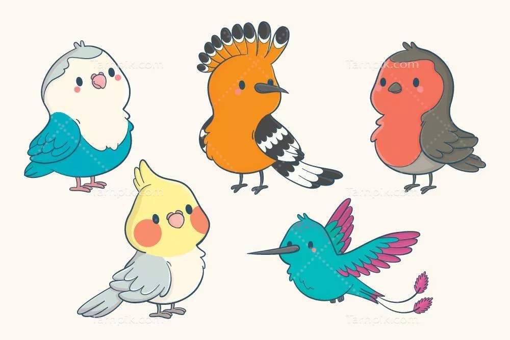 مجموعهای از پرندگان دستکشیده و بامزه با طراحی وکتور