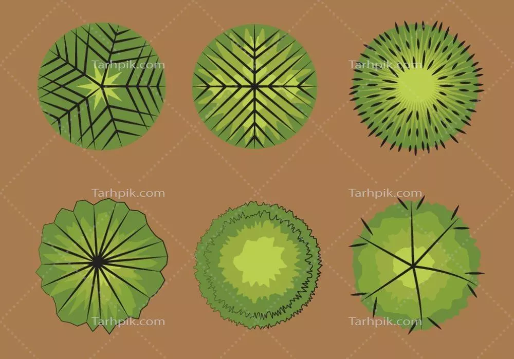 مجموعهای از وکتورهای تنوع بالای درختان با زمینه قهوهای
