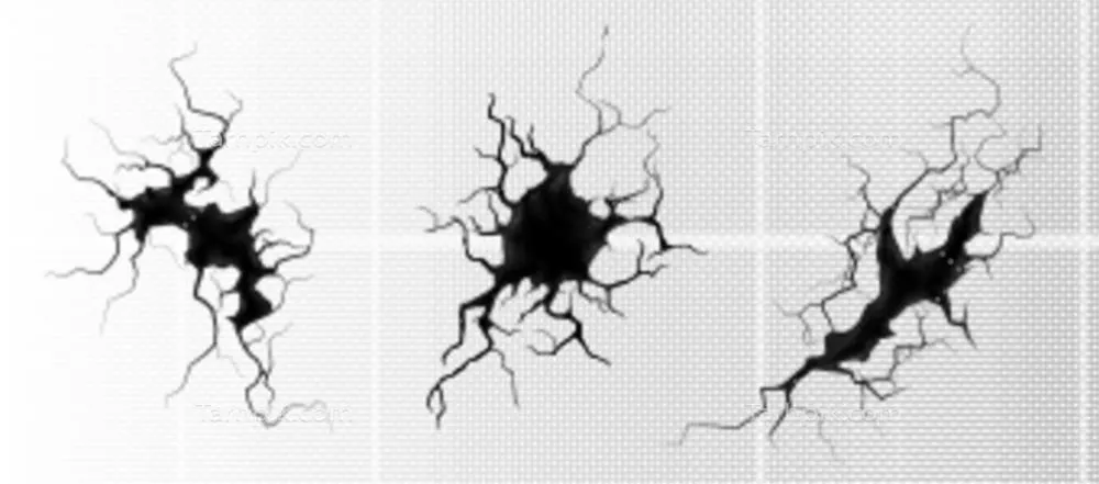 نقشه وکتور زمین ترک خورده با بافت‌های طبیعی و زیبا