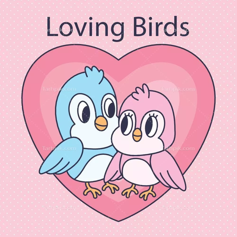 تصویر پس زمینه وکتوری از پرندگان بامزه و دوست‌داشتنی با طراحی زیبا