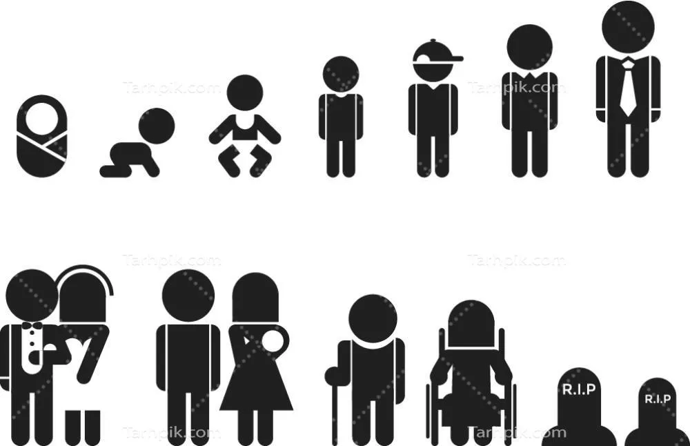 وکتور چرخه رشد انسان: الگویی جامع برای پروژه‌های شما