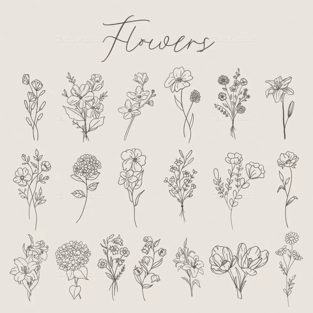 وکتور مجموعه گل‌های مختلف به سبک دست‌کشیده در طرح‌های دودیویی و نمادهای طبیعی