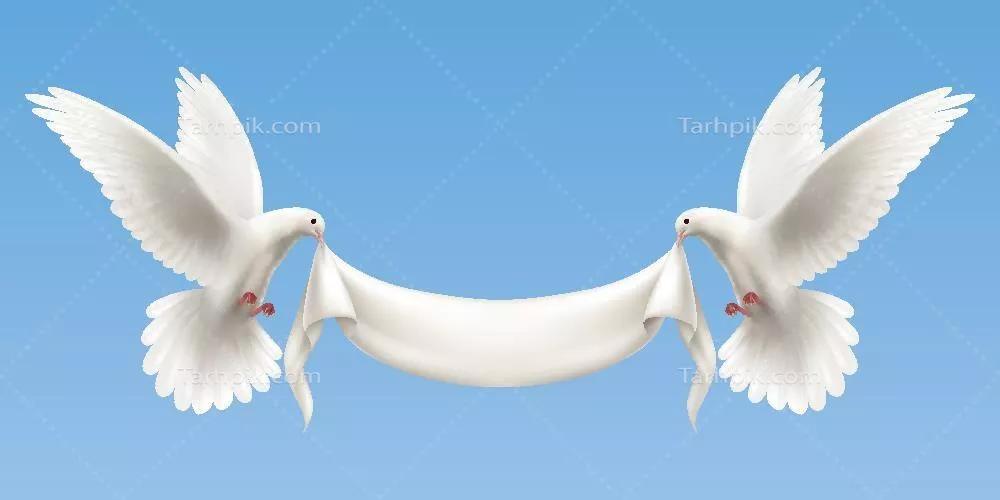 پرچم در دهان کبوتران - تصویر وکتور زیبا و خاص