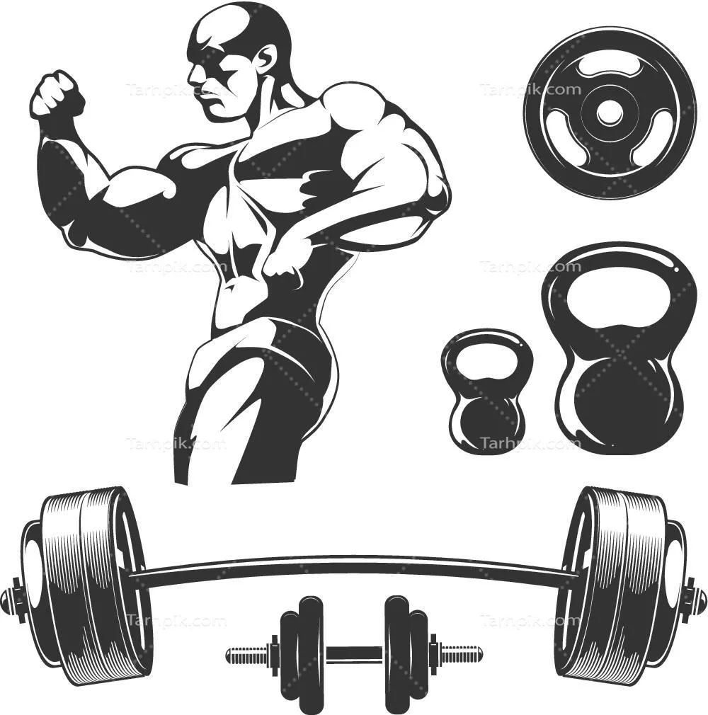 مجموعه عناصر وکتور تناسب اندام و باشگاه برای طراحی گرافیکی