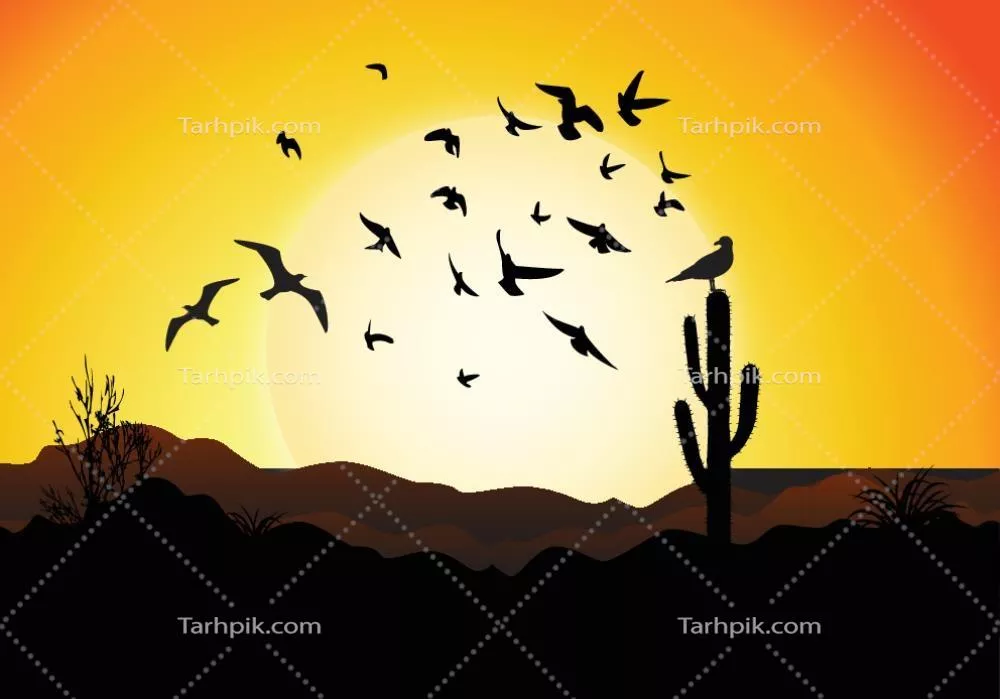 وکتور منظرهای بسیار زیبا با غروب بزرگ و سیلوئت پرندههای در حال پرواز