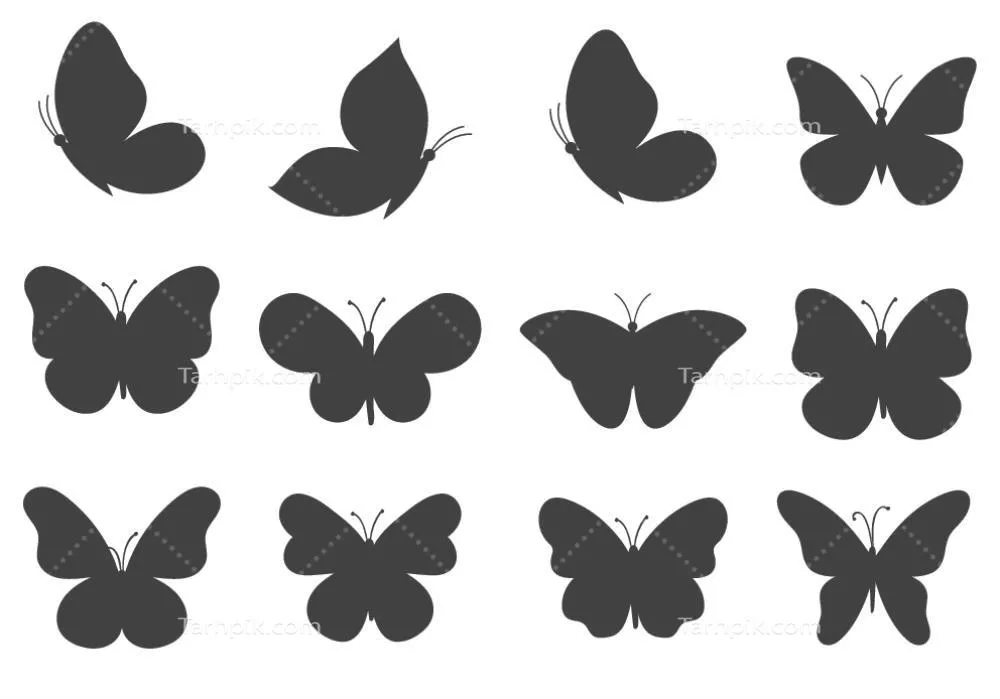 وکتور مجموعهای متنوع و کاربردی از اشکال پروانه برای استفادههای خلاقانه