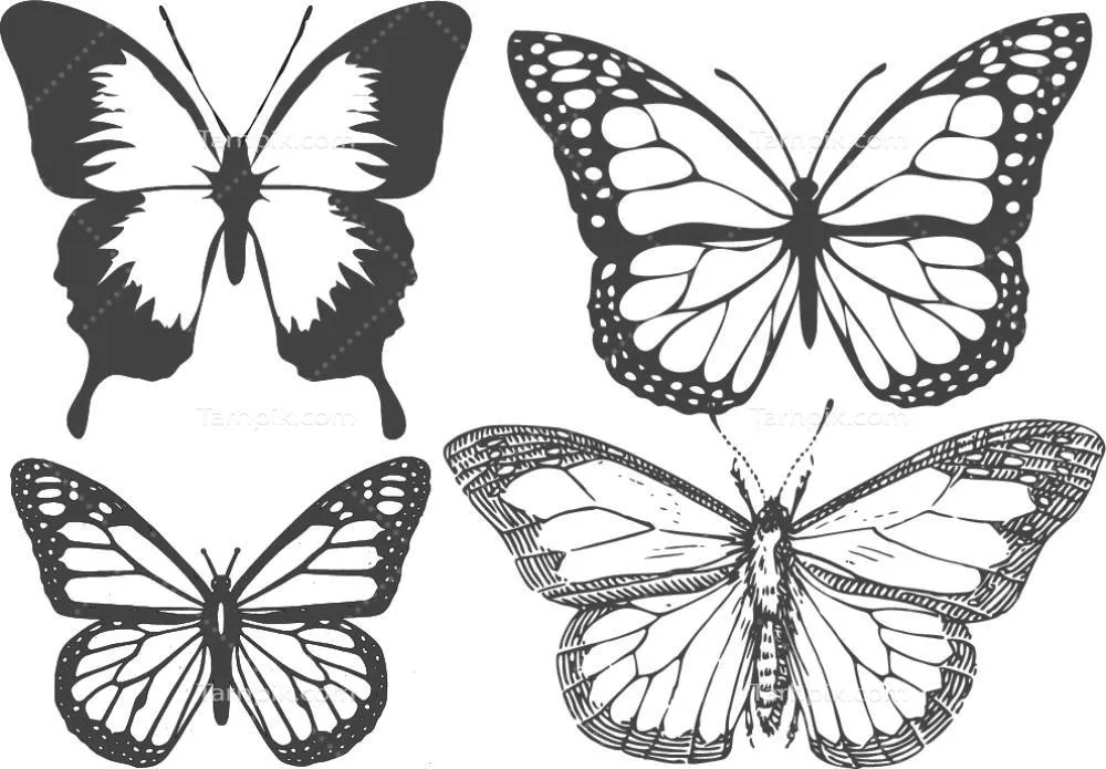 وکتور مجموعه ای فوق العاده از پروانههای عتیقه برای استفاده و لذت بردن شما