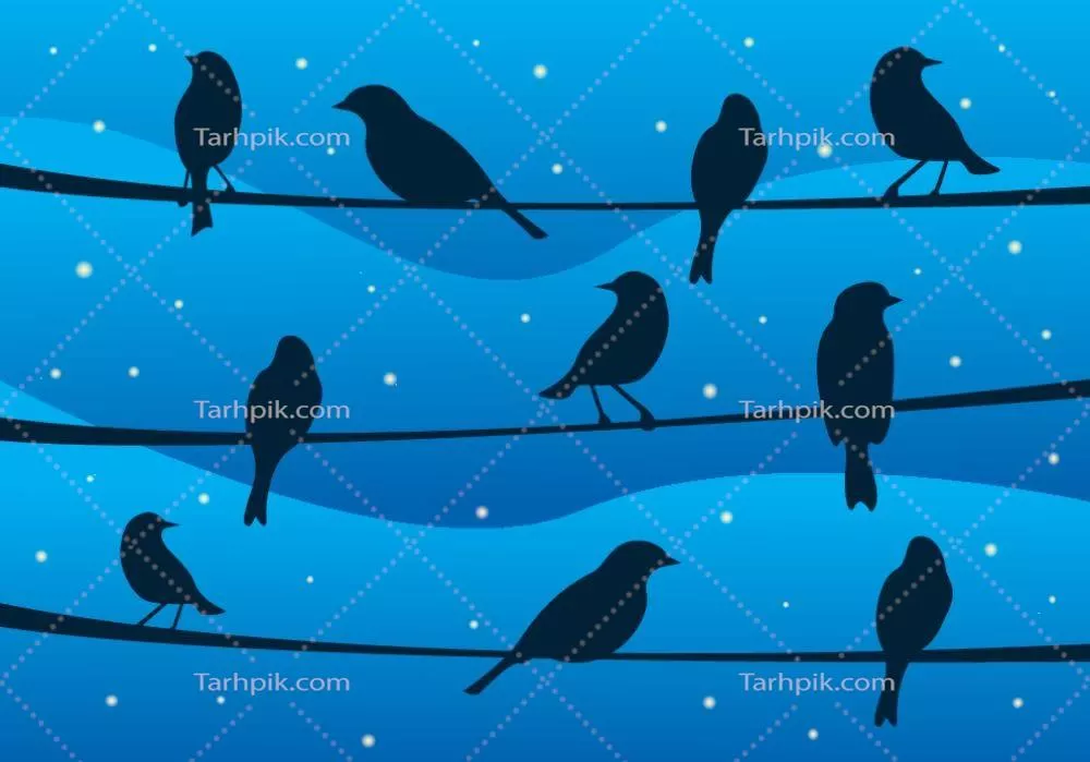 وکتور تصویر سیلوئت پرندهای روی سیم در شب با ستارههای درخشان