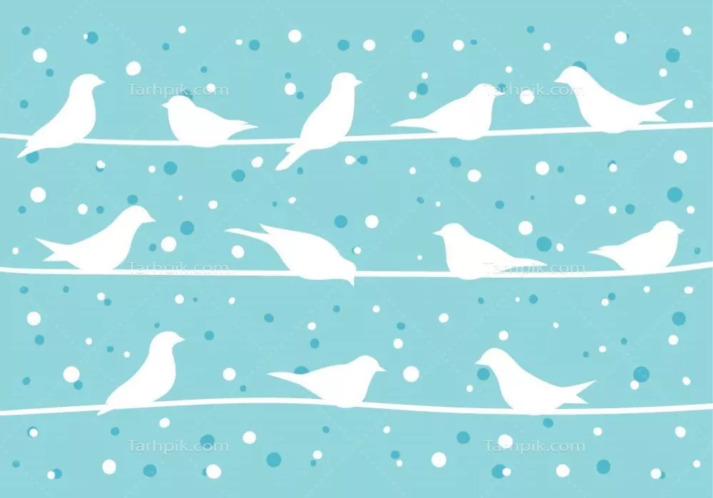 وکتور تصویری زیبا از سیلوئت پرندگان سفید نشسته بر روی سیم در فصل زمستان