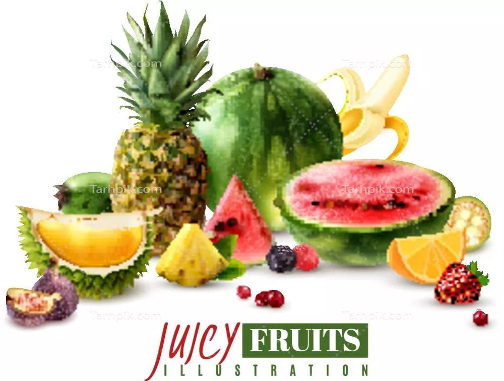 تصویر وکتور میوه‌های آبدار و خوشمزه با طراحی جذاب