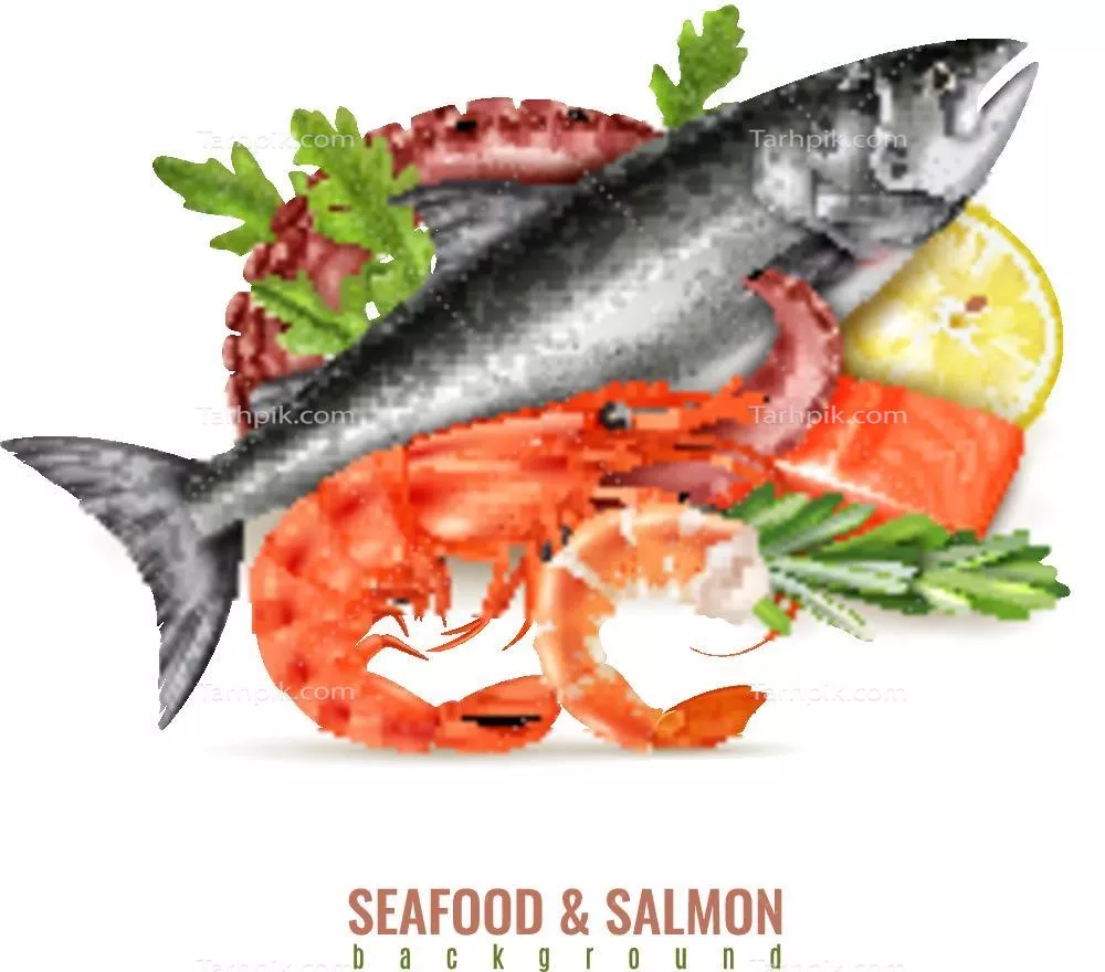 طراحی وکتور خوراک دریایی و ماهی سالمون با جزئیات زیبا