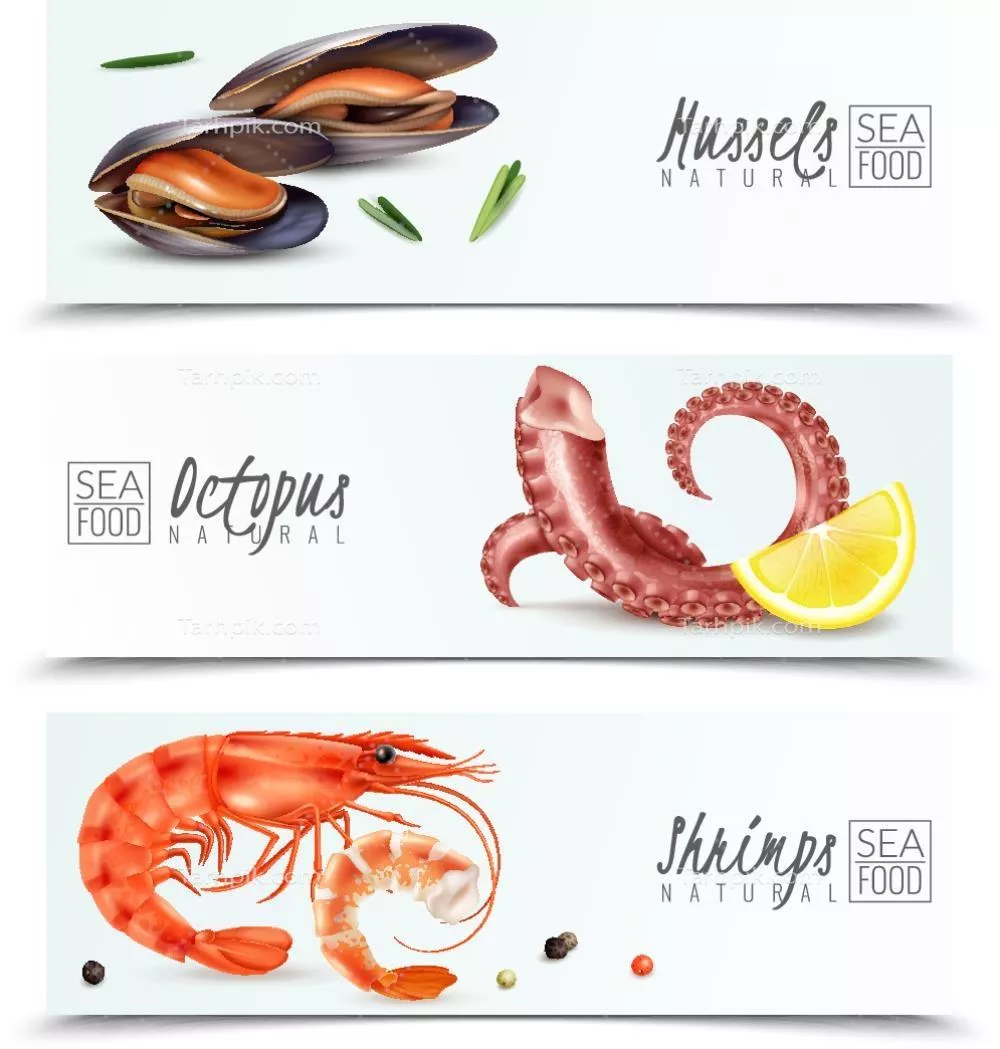 وکتور خوراکیهای دریایی: گرافیکهای جذاب و هنری برای علاقهمندان به دریا