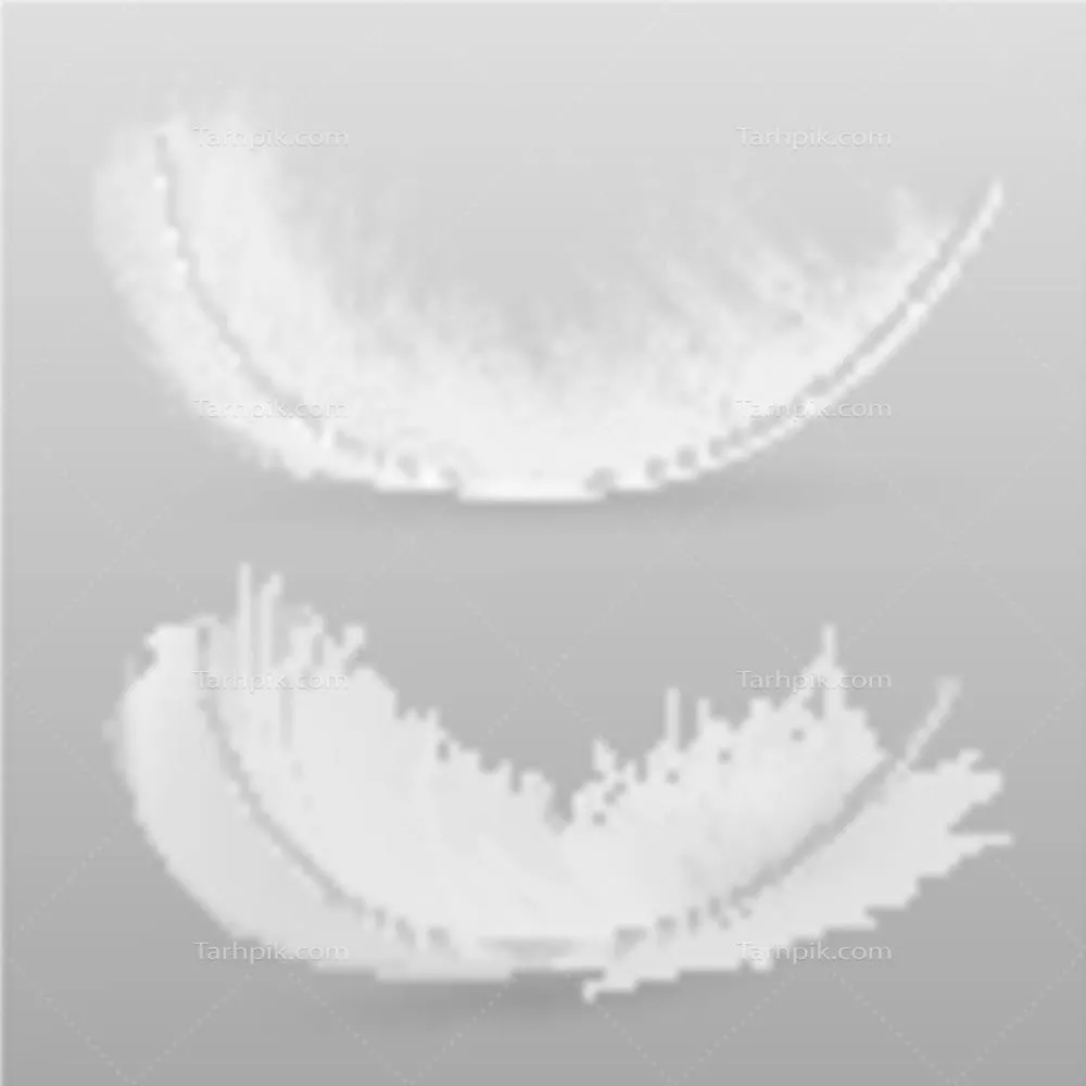 مجموعه وکتور پرهای سفید زیبا و جذاب برای طراحی و هنرهای دیجیتال