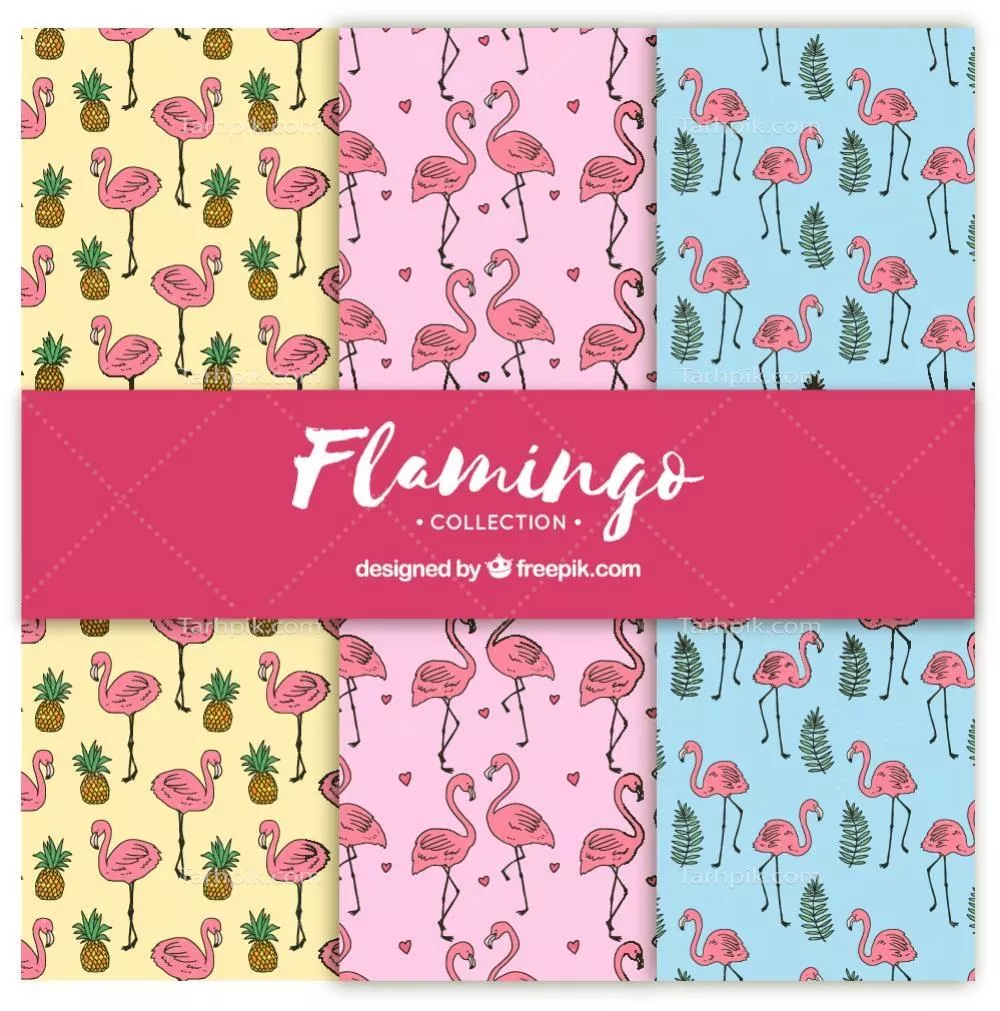 الگوهای فلامینگو با طراحی گیاهان - وکتور زیبا و خلاقانه
