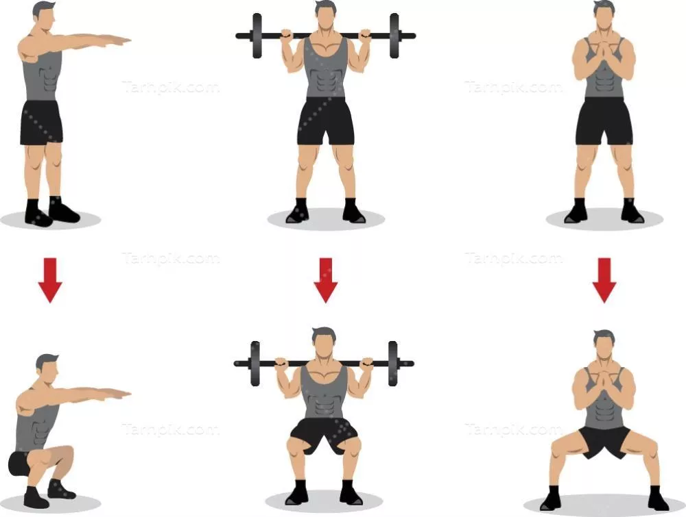 وکتور مجموعه ای از حرکات اسکات برای استفاده در اینفوگرافیک و کارهای دیگر