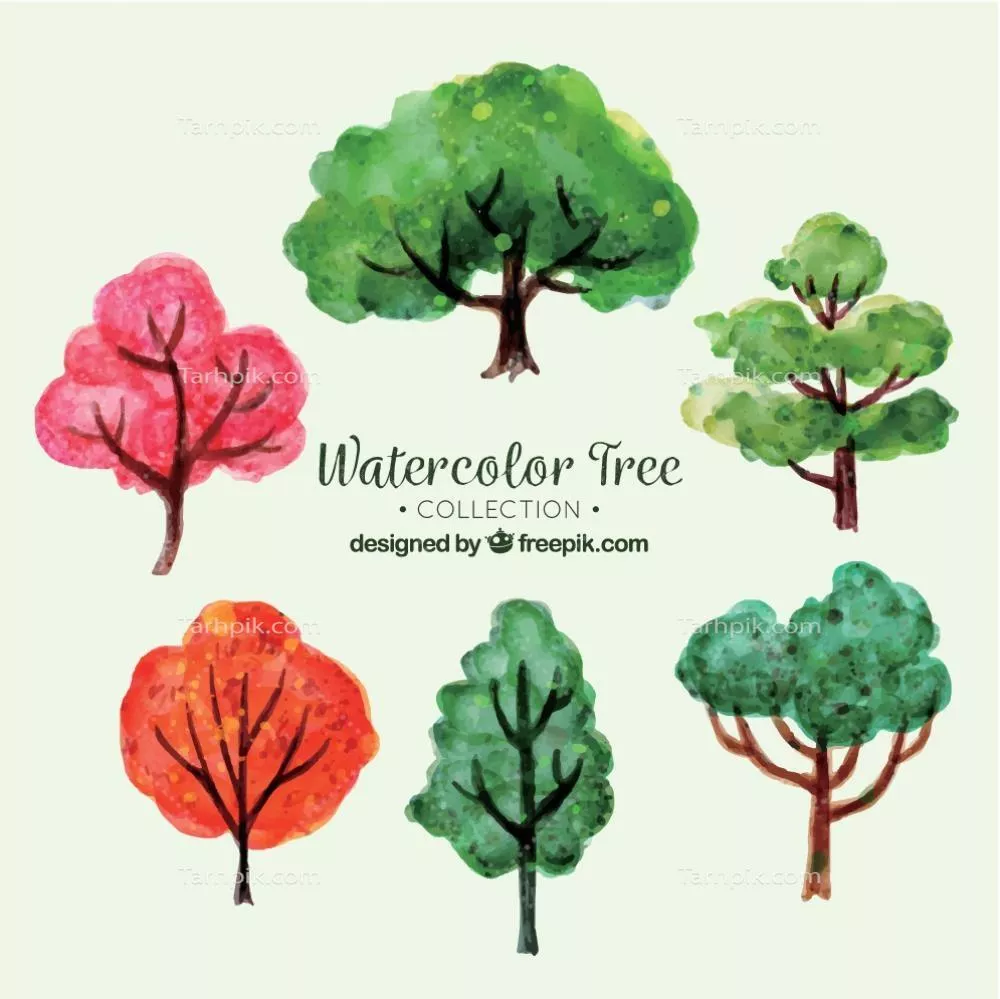 مجموعهای از درختان با طراحی آبرنگی به سبک وکتور برای طراحیهای گرافیکی