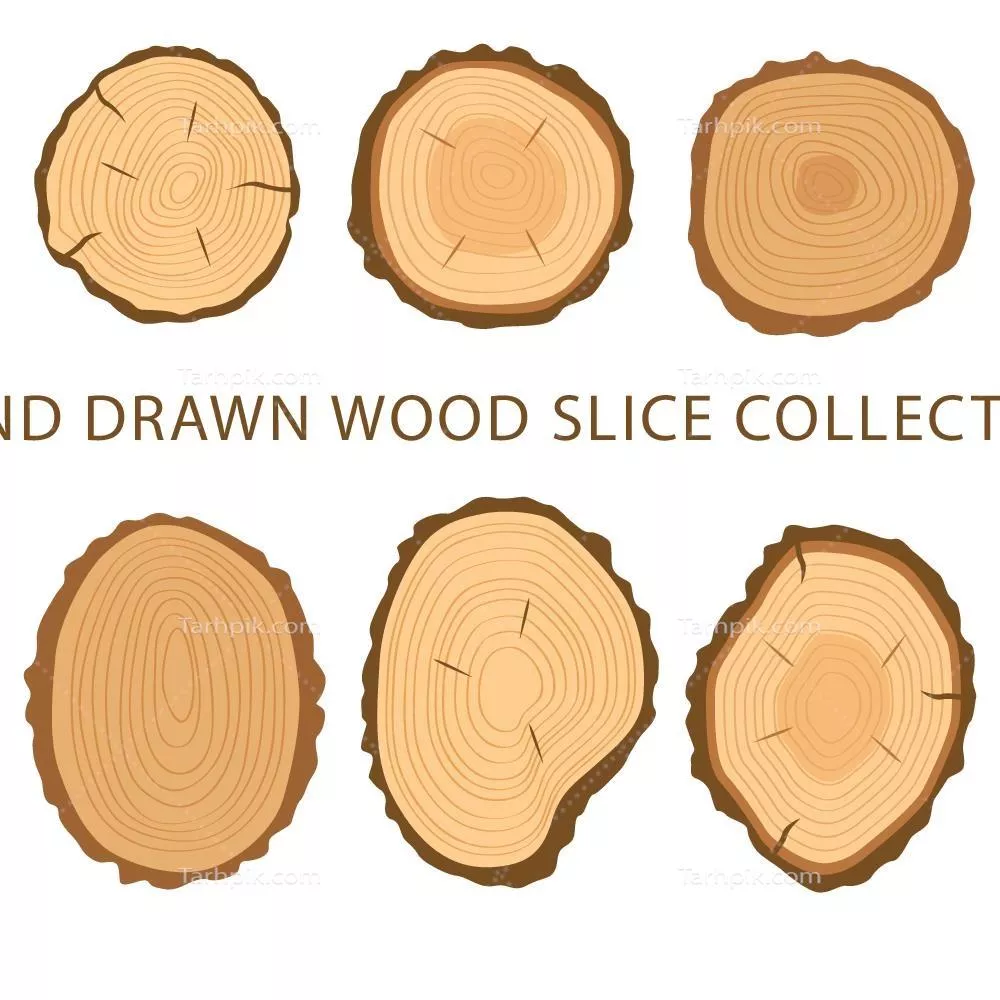 شش برش چوبی وکتور با کیفیت عالی برای طراحی گرافیکی و استفادههای هنری