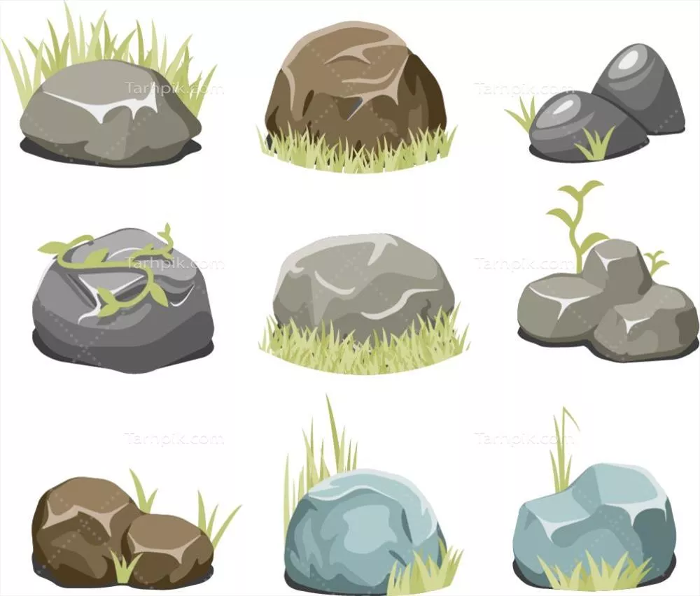 وکتور طراحی سنگ و چمن با جزئیات زیبا و طبیعی
