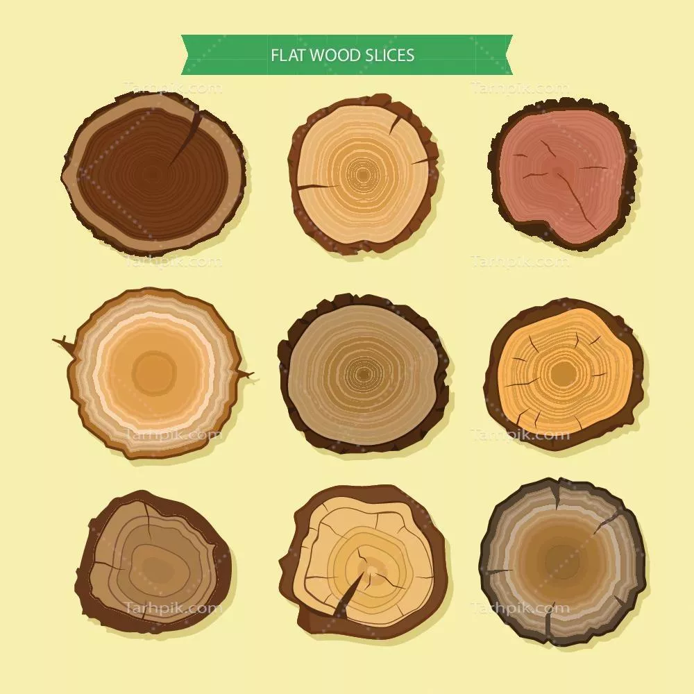 انواع برشهای چوبی از گونههای مختلف درختان - وکتور 01