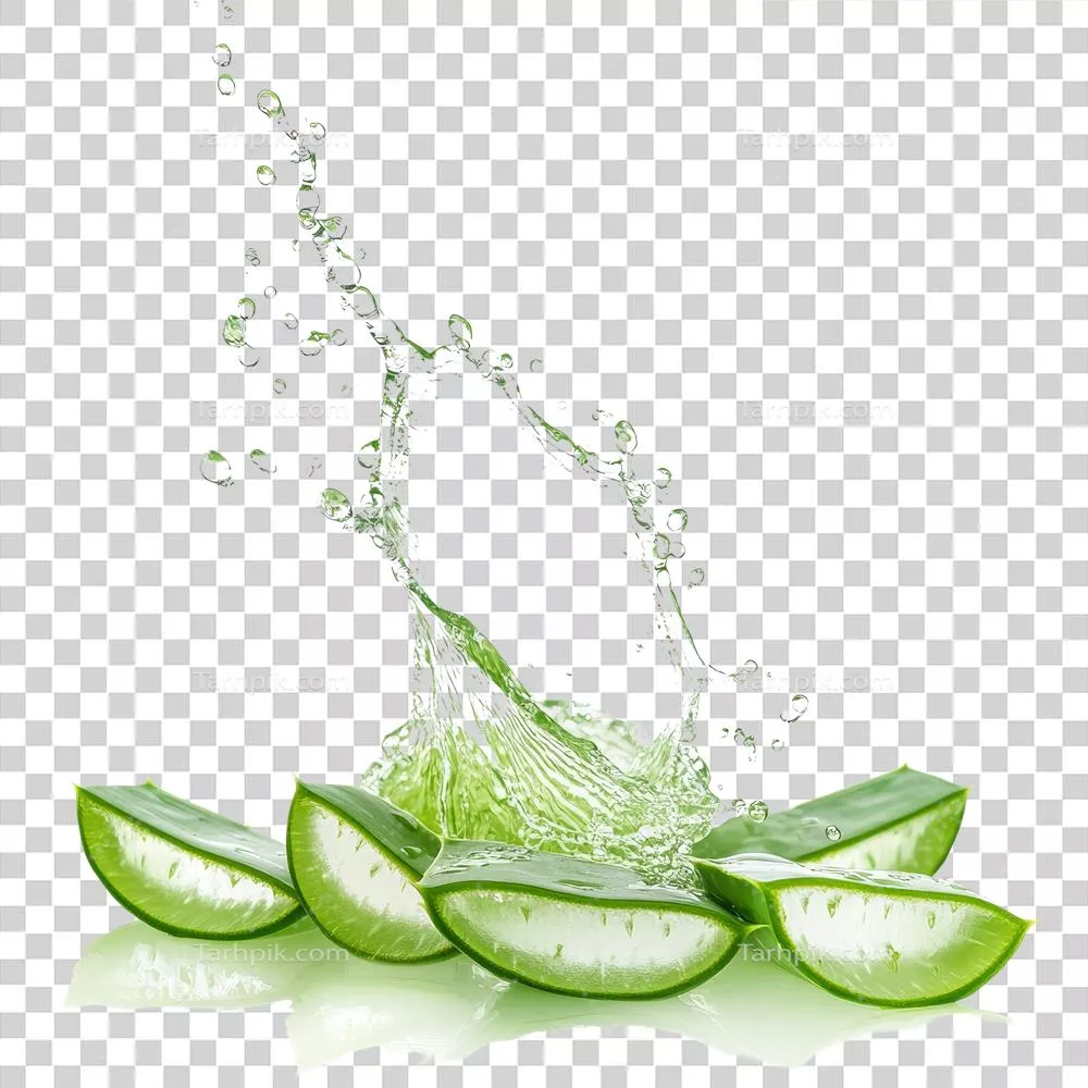 عکس دوربری آب آلوئه ورا که به طور پویا از ژل سبز تازه در پسزمینه ای روشن میپاشد