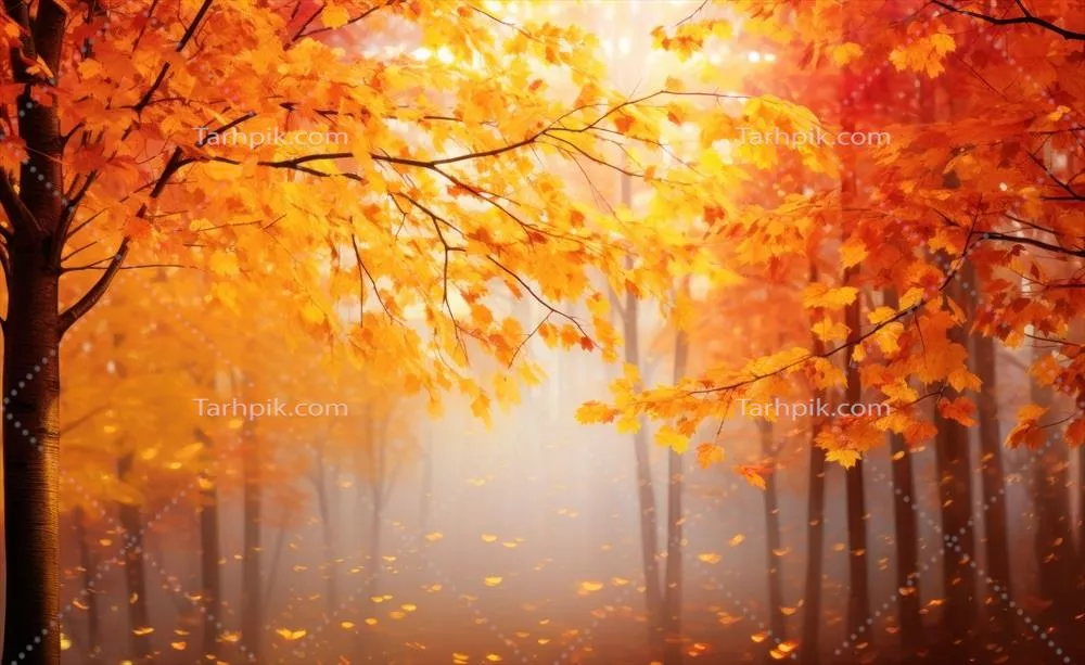 عکس پس‌زمینه درختان پاییزی در پارک با رنگ‌های دل‌انگیز