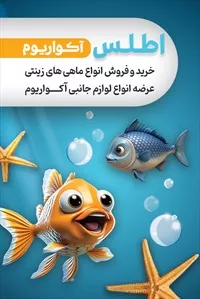 تصویر 3